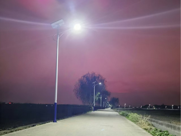 《爱心照亮振兴路——水美村村民共筑绿色光明工程纪实》